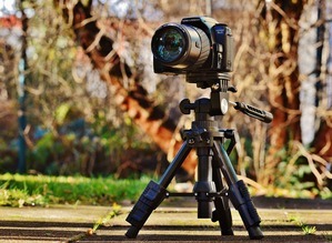 Best Tripods Under $100