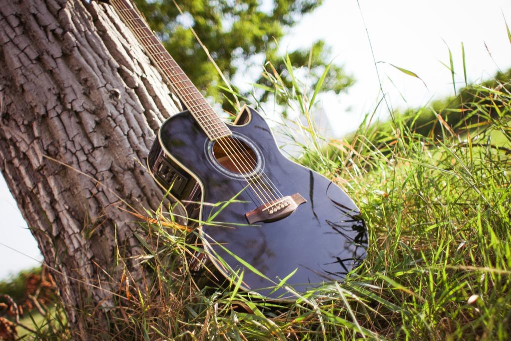 Guitars