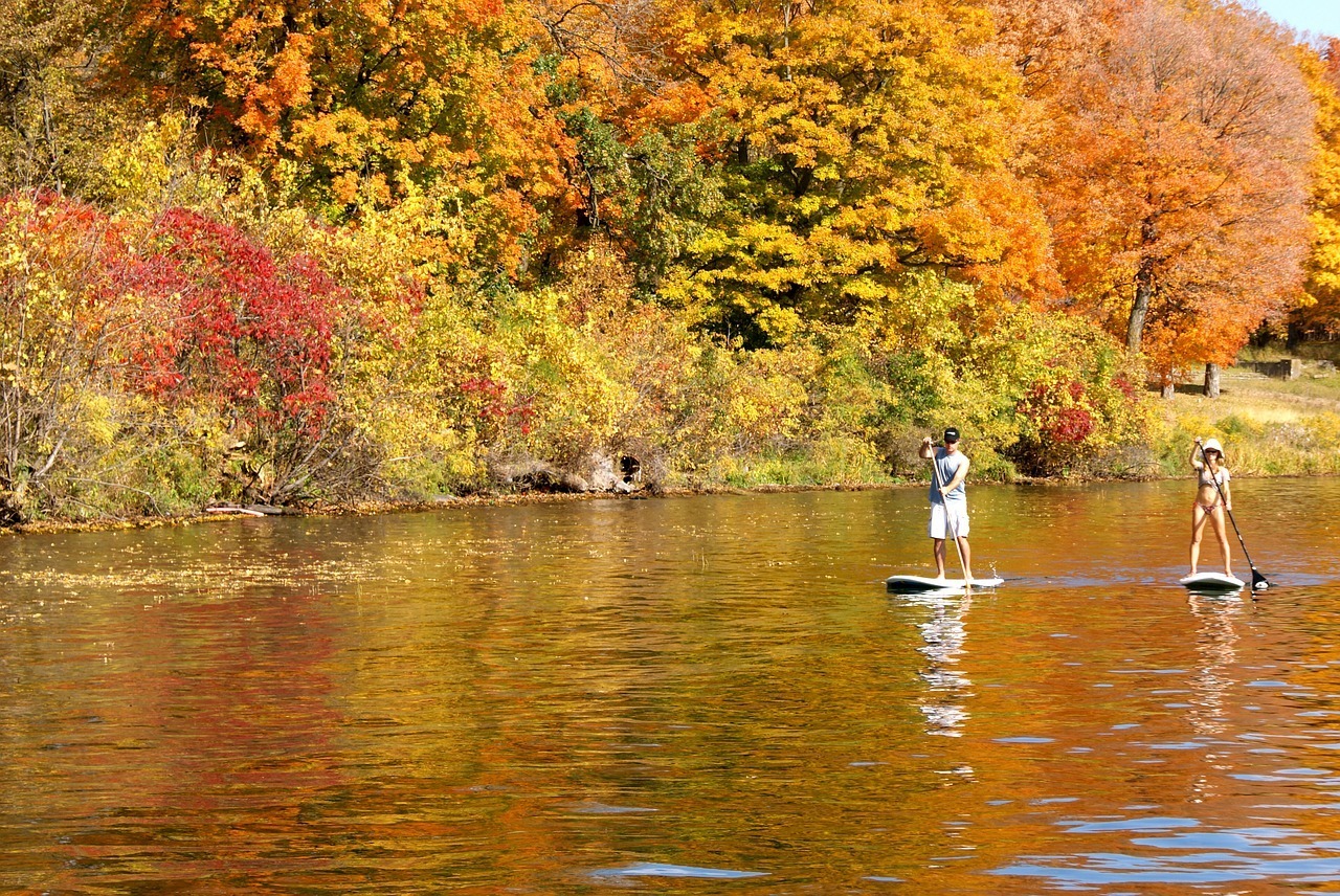 stand up paddle 2093767 1280