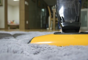 Best Carpet Cleaners