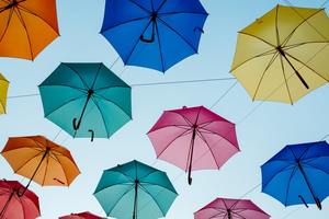 Best Umbrellas