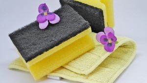 Clean Sponges