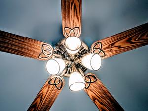 Dust Ceiling Fan